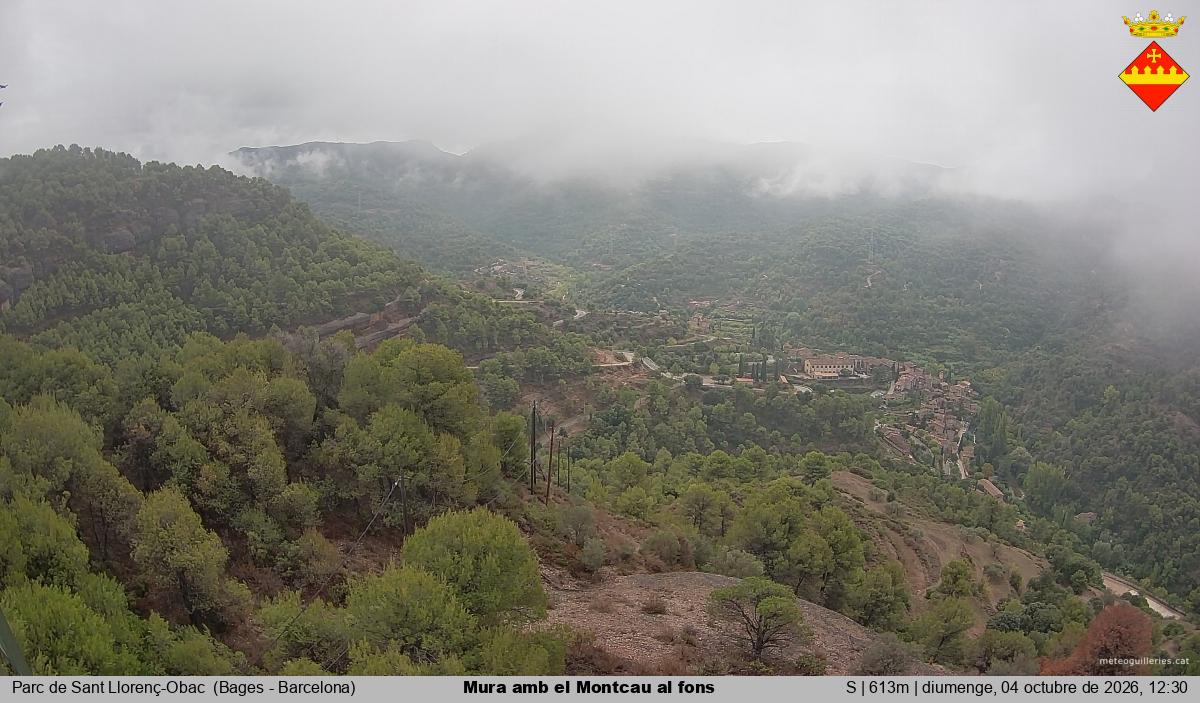 Mura amb el Montcau al fons
