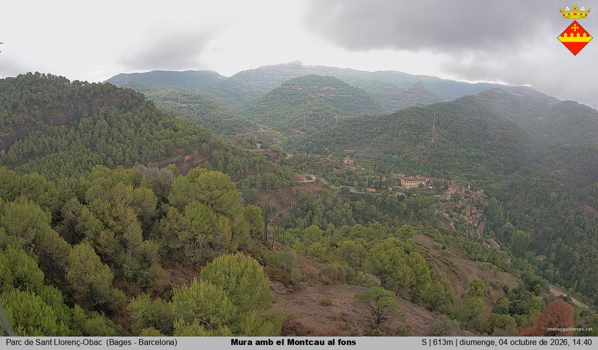 Mura amb el Montcau al fons