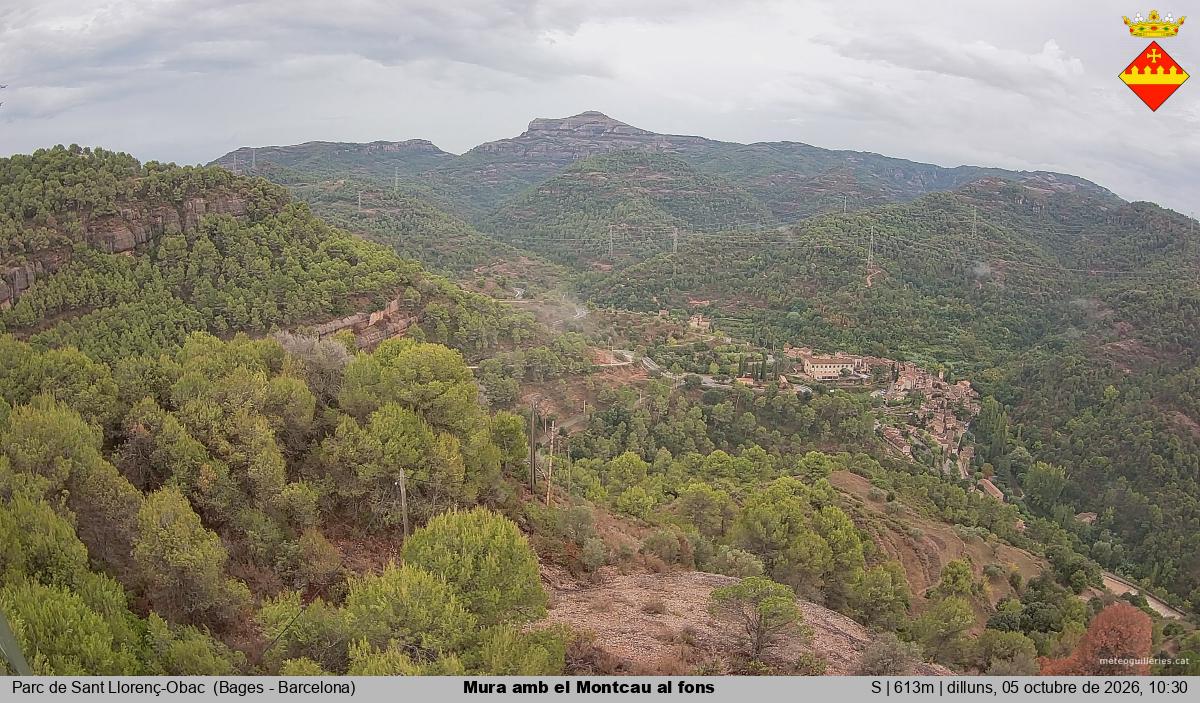 Mura amb el Montcau al fons