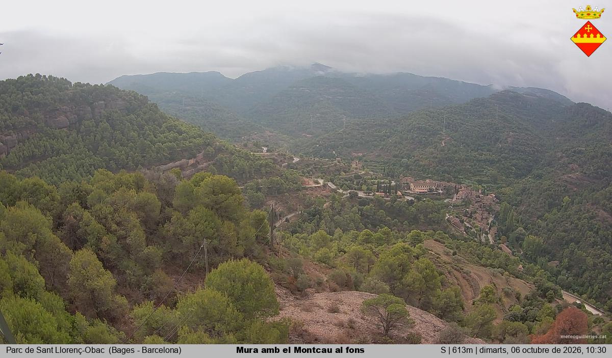 Mura amb el Montcau al fons