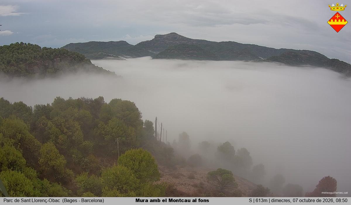 Mura amb el Montcau al fons