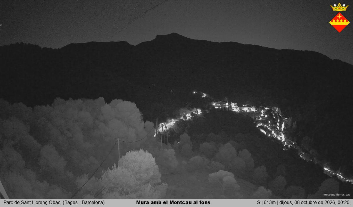 Mura amb el Montcau al fons