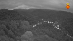 Webcams
