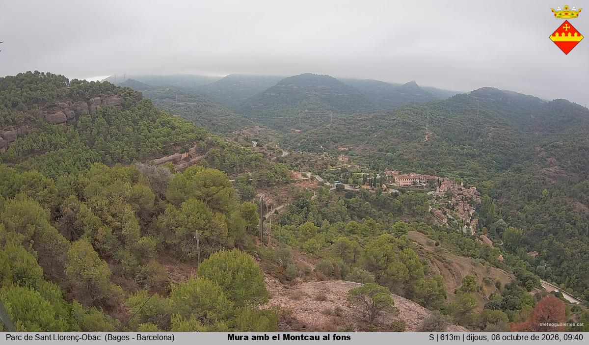 Mura amb el Montcau al fons