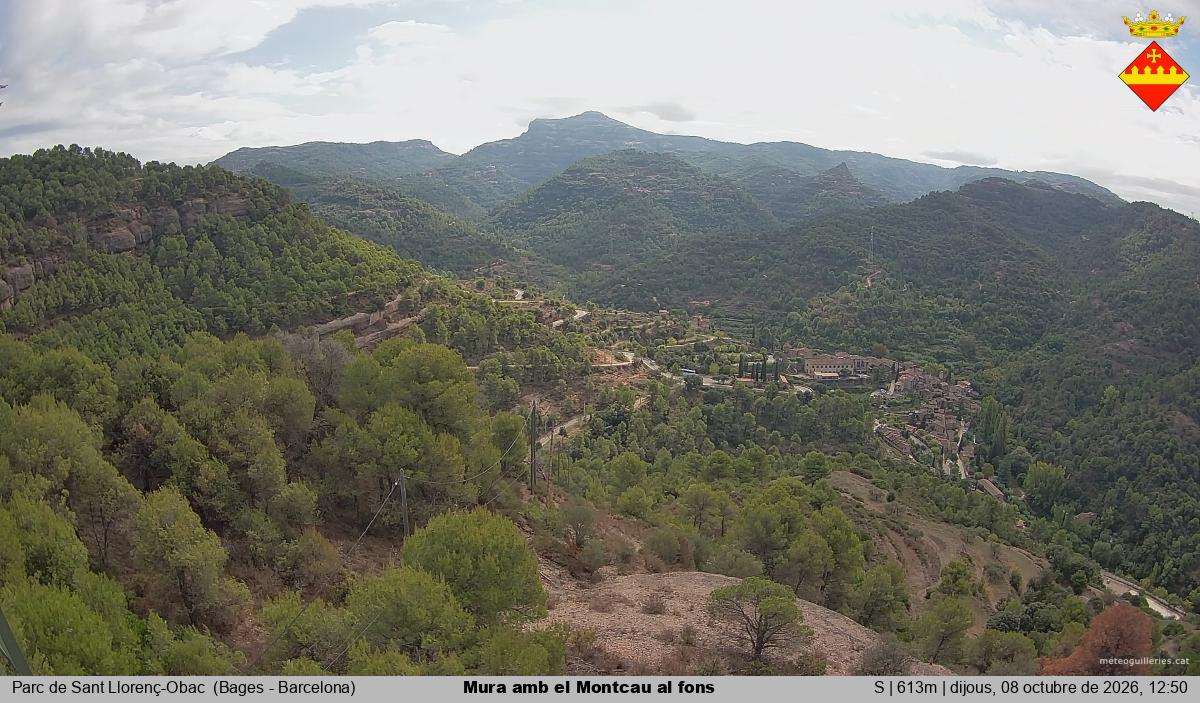 Mura amb el Montcau al fons
