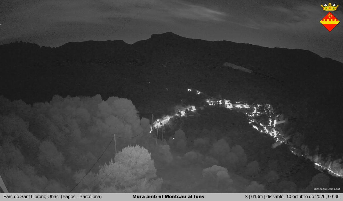 Mura amb el Montcau al fons