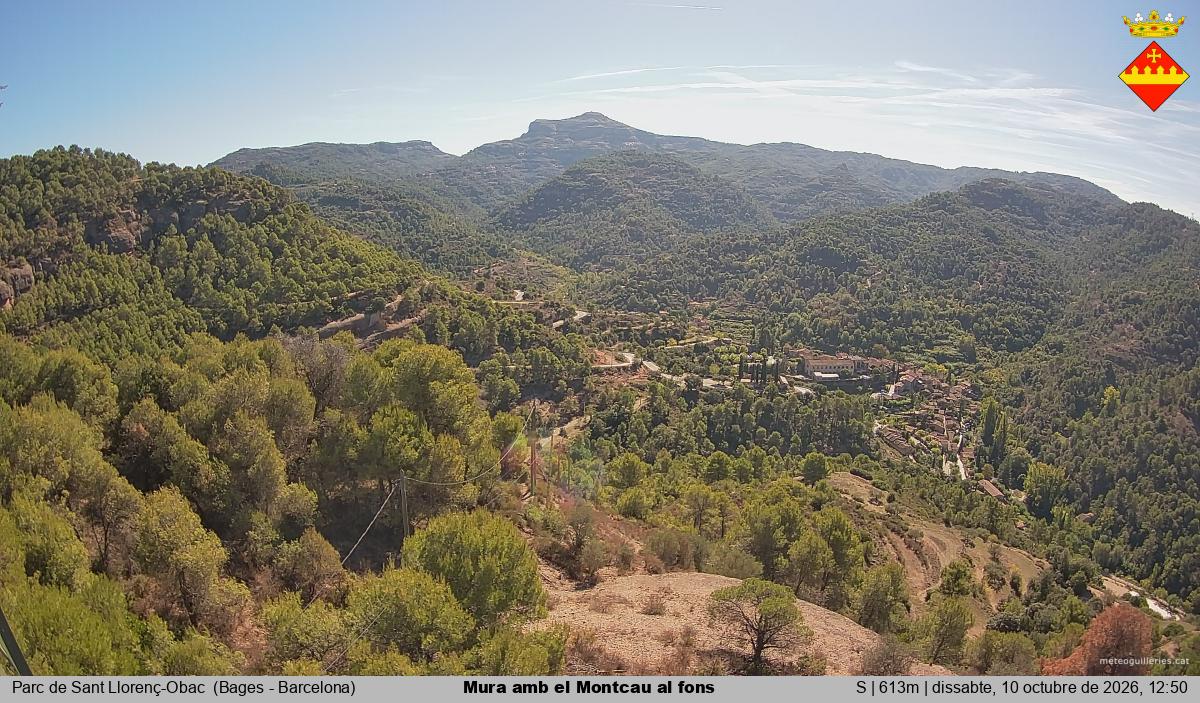 Mura amb el Montcau al fons