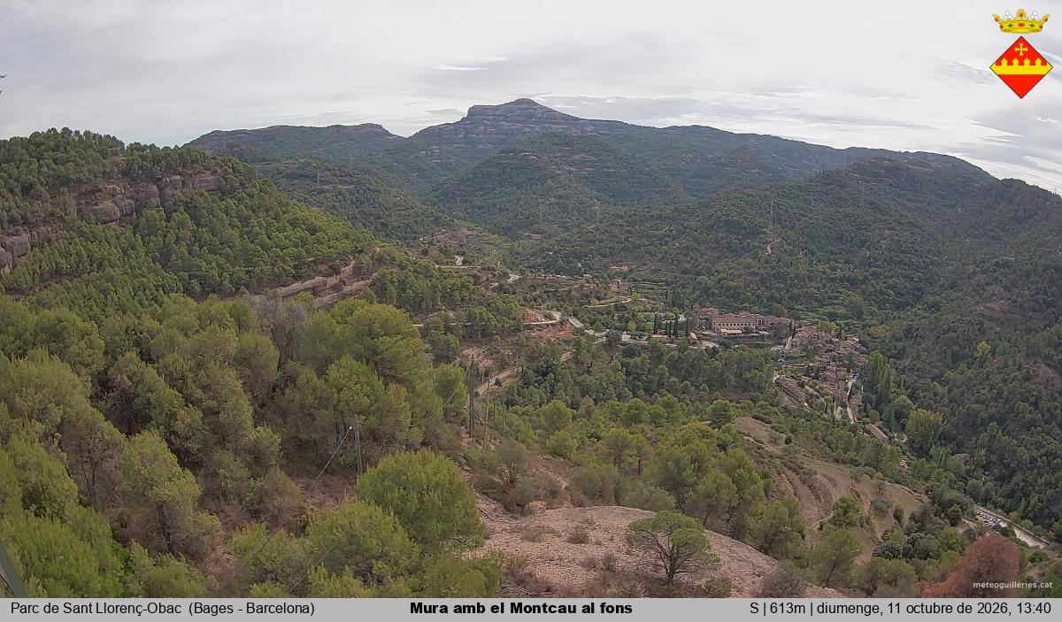 Mura amb el Montcau al fons