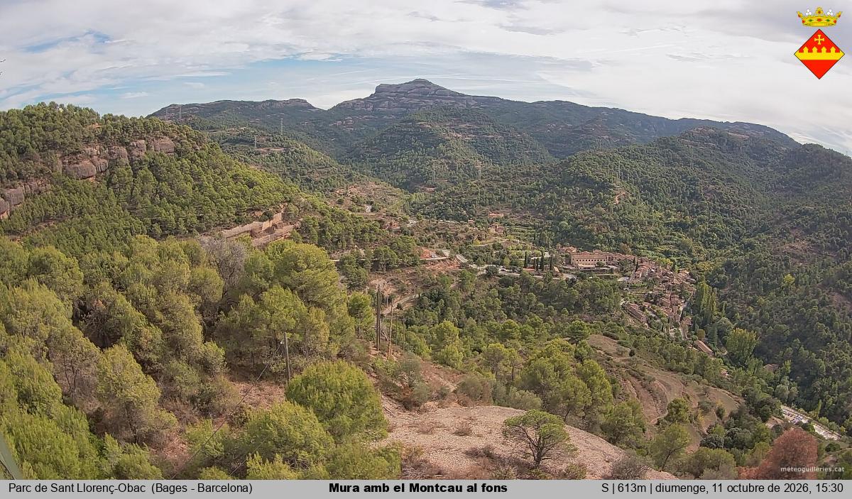 Mura amb el Montcau al fons