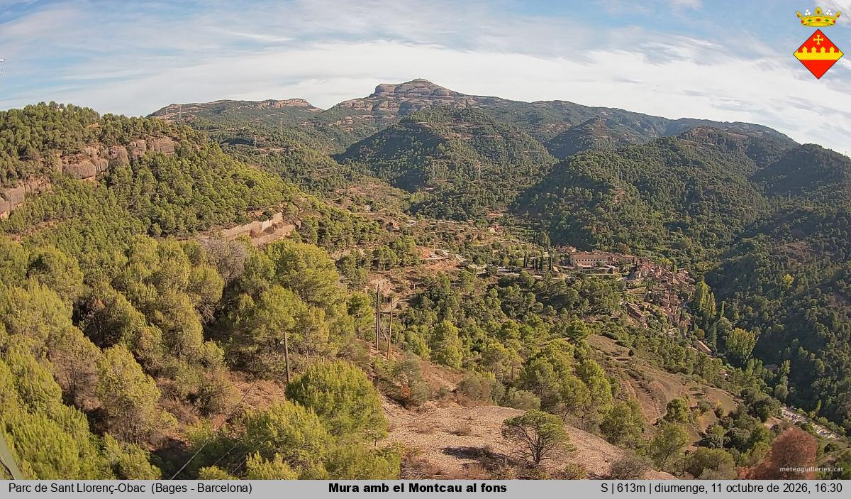 Mura amb el Montcau al fons