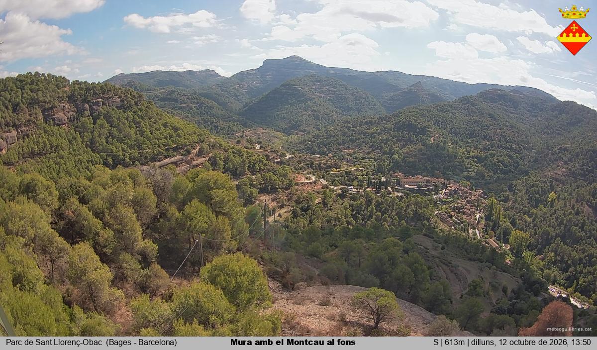 Mura amb el Montcau al fons