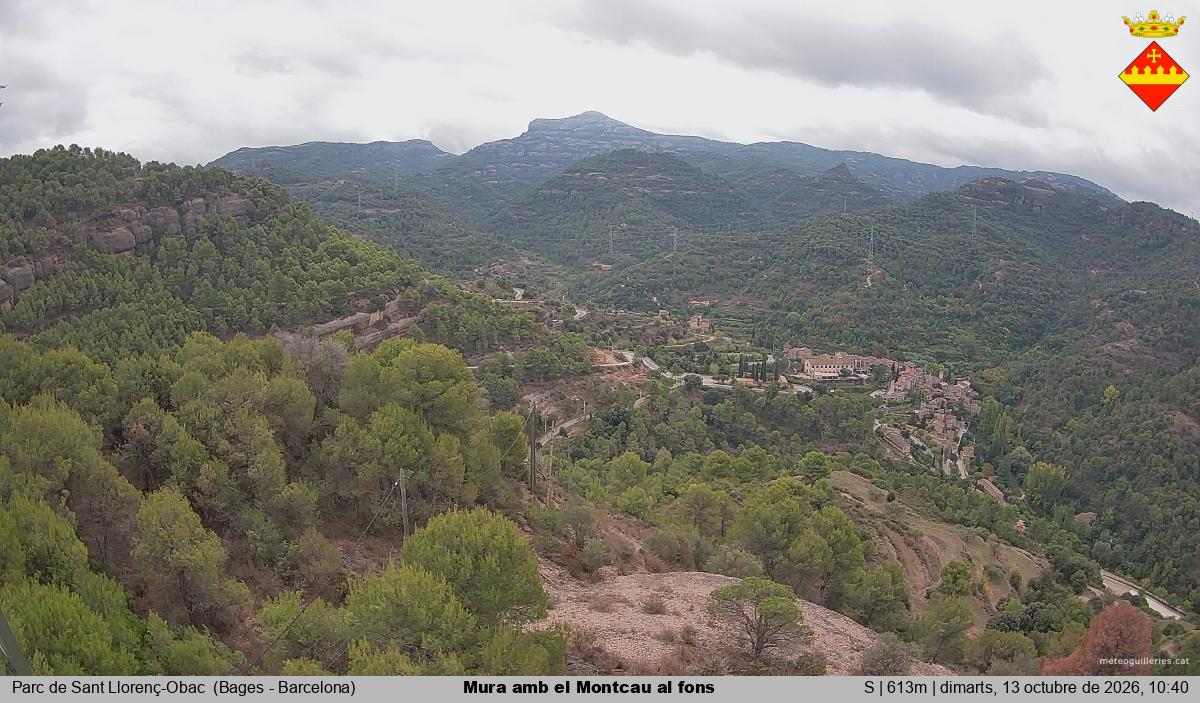 Mura amb el Montcau al fons