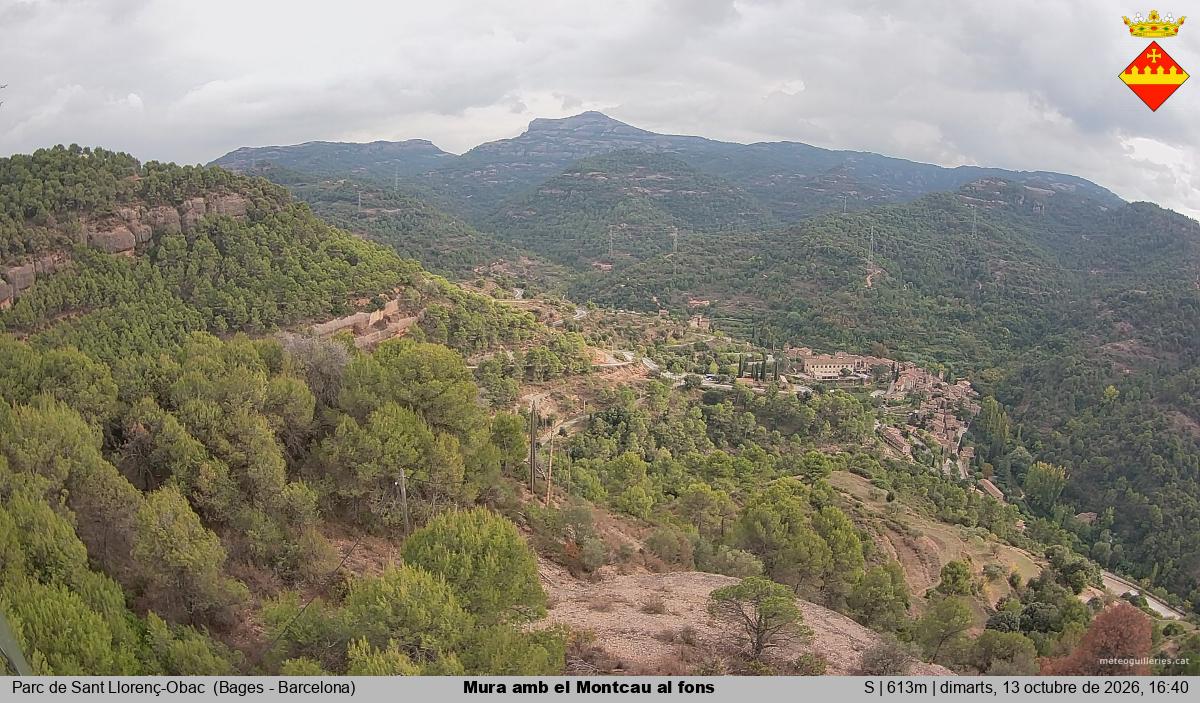 Mura amb el Montcau al fons