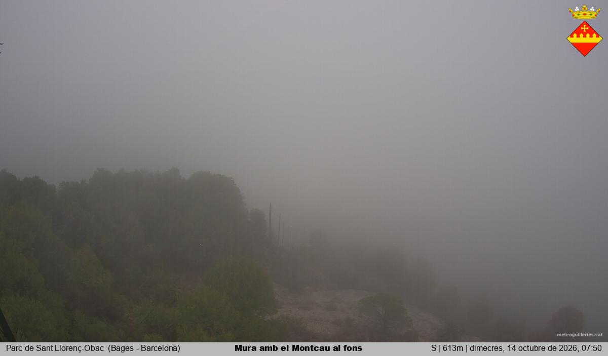 Mura amb el Montcau al fons
