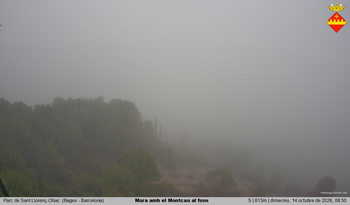 Mura amb el Montcau al fons