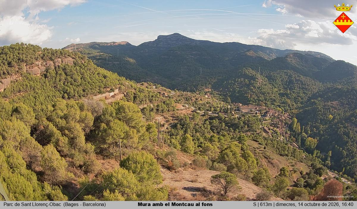 Mura amb el Montcau al fons