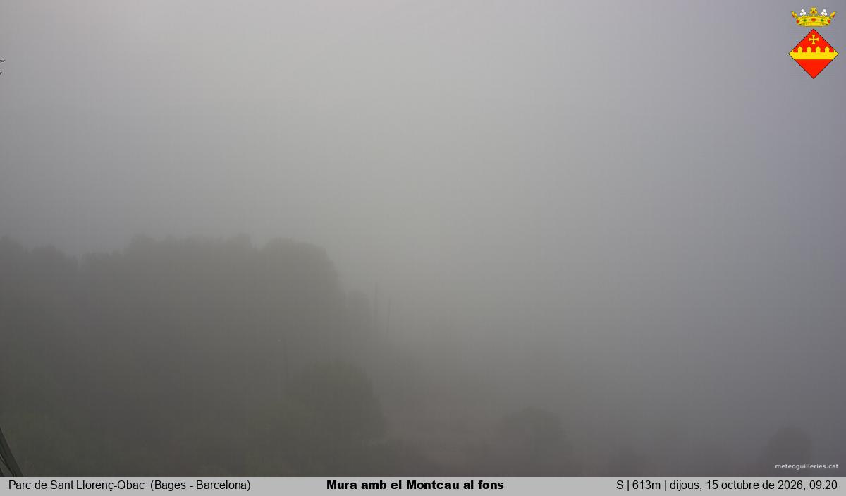 Mura amb el Montcau al fons