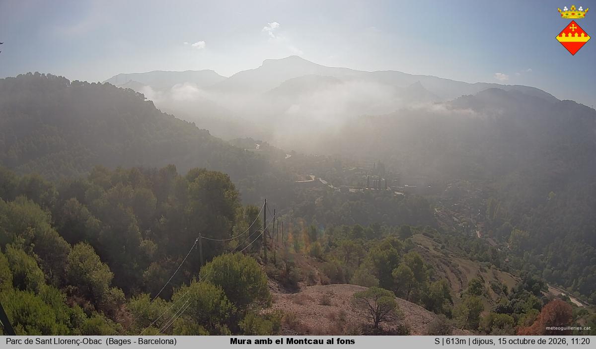 Mura amb el Montcau al fons