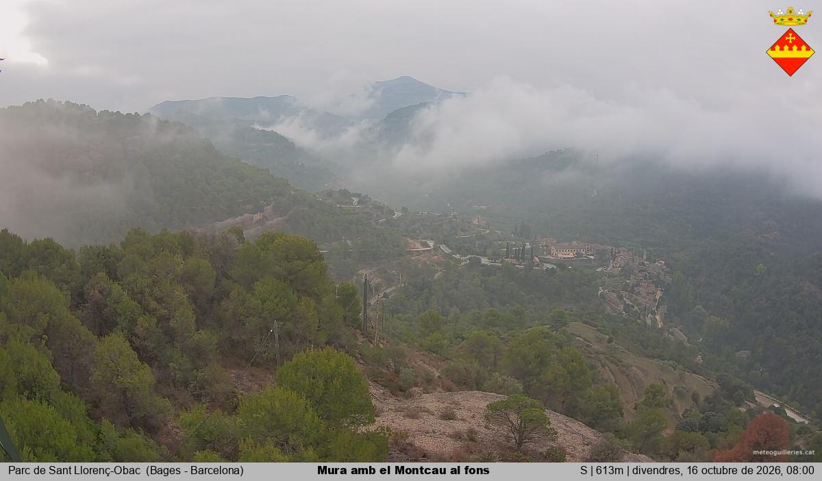 Mura amb el Montcau al fons