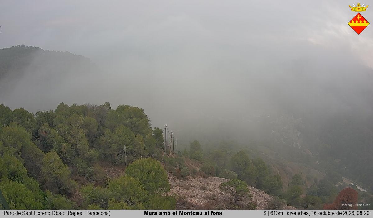 Mura amb el Montcau al fons