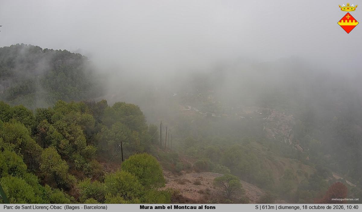 Mura amb el Montcau al fons
