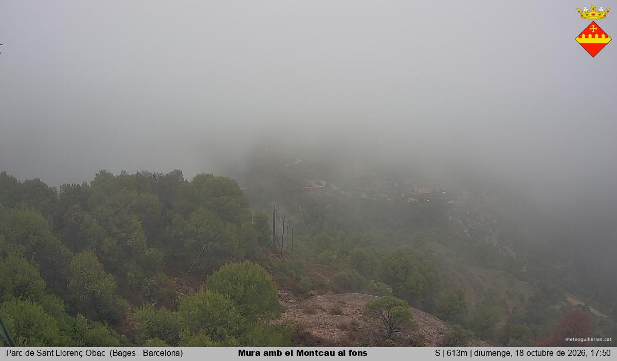 Mura amb el Montcau al fons