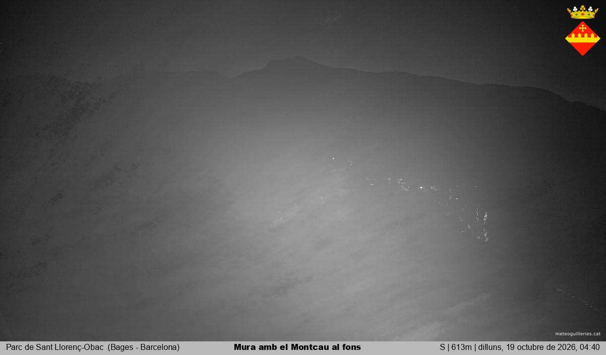 Mura amb el Montcau al fons