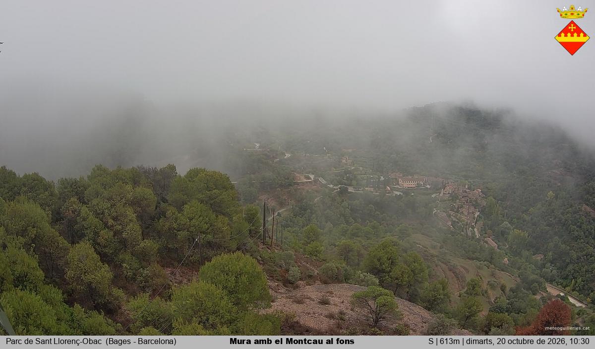 Mura amb el Montcau al fons
