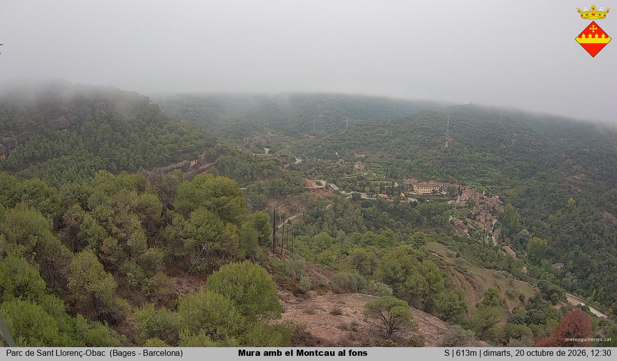 Mura amb el Montcau al fons
