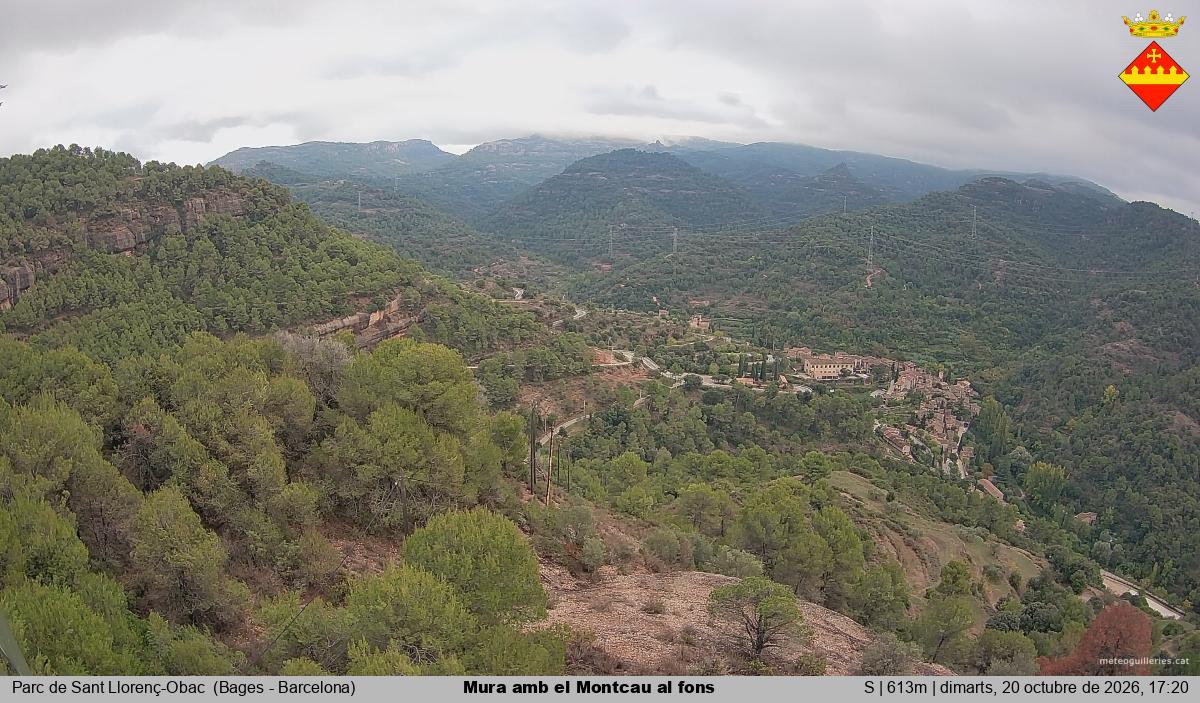 Mura amb el Montcau al fons
