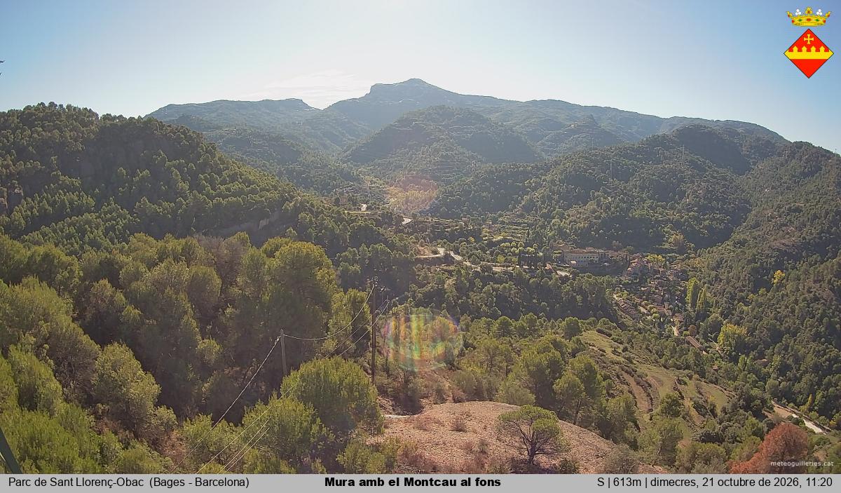 Mura amb el Montcau al fons