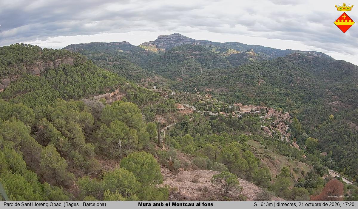 Mura amb el Montcau al fons