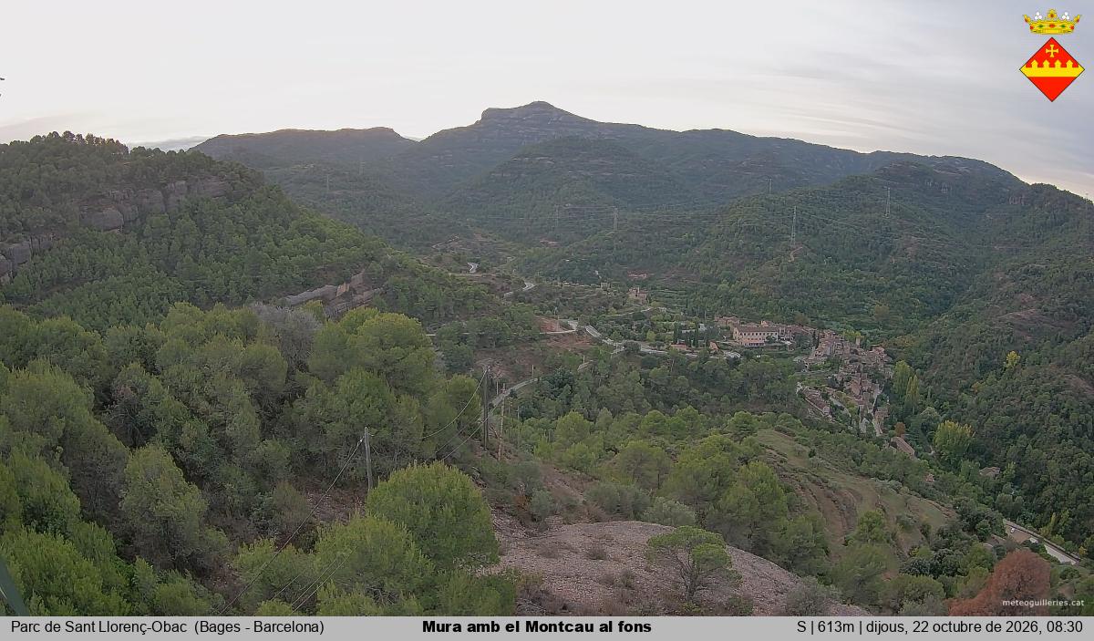 Mura amb el Montcau al fons