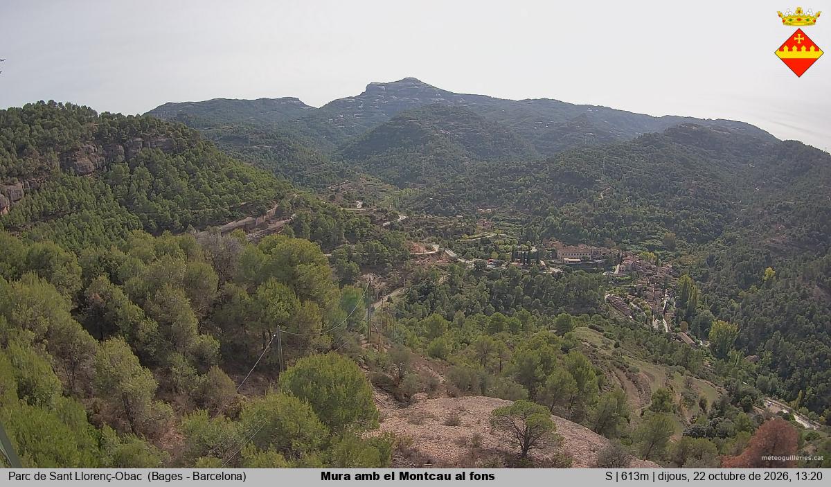 Mura amb el Montcau al fons