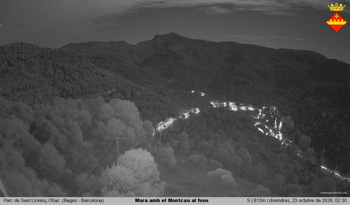 Mura amb el Montcau al fons