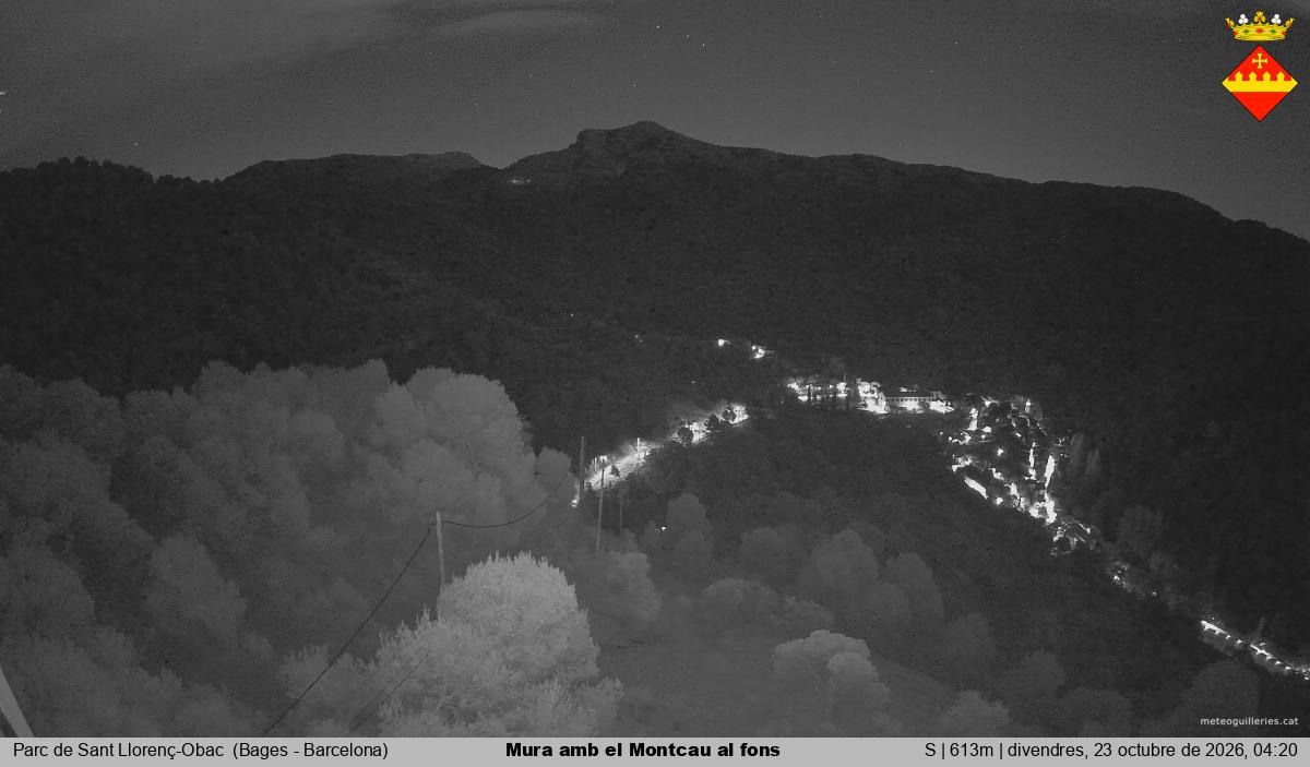 Mura amb el Montcau al fons