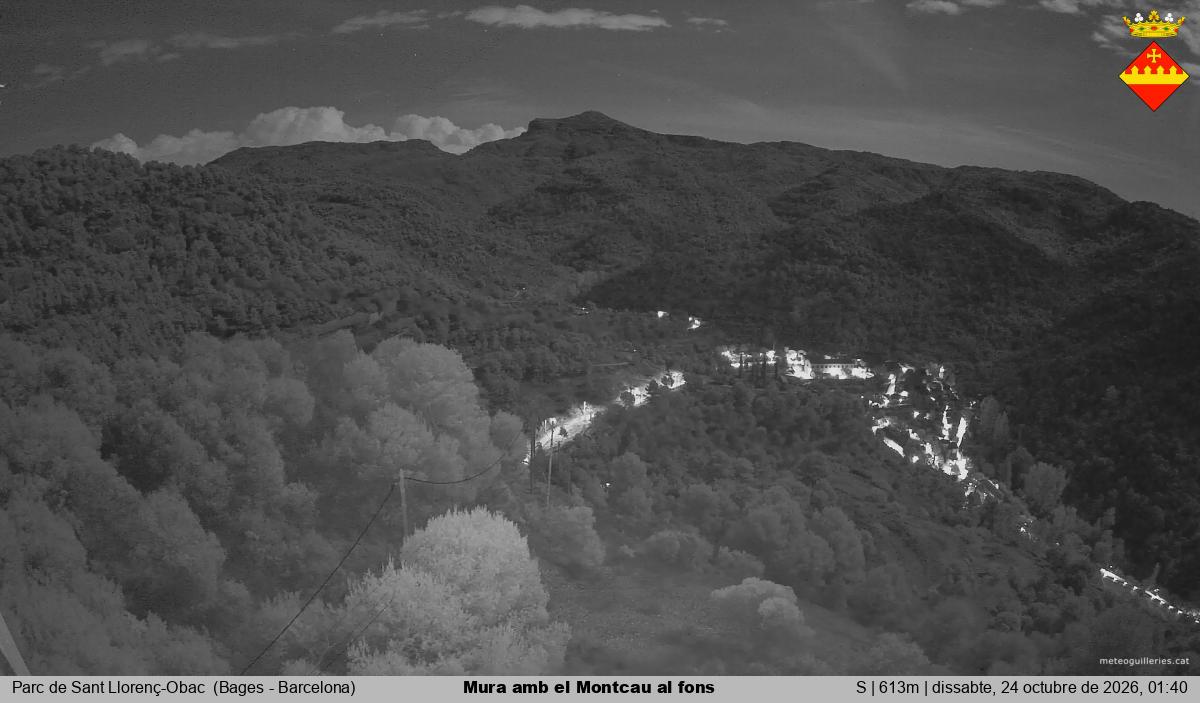 Mura amb el Montcau al fons