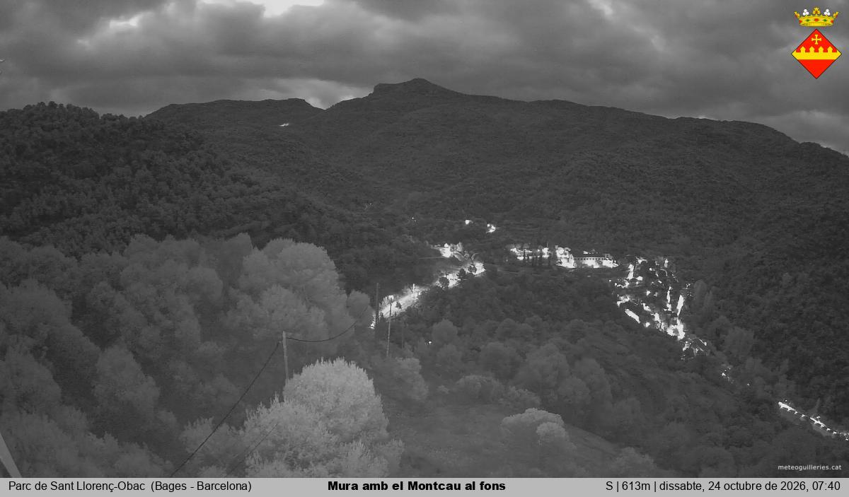 Mura amb el Montcau al fons