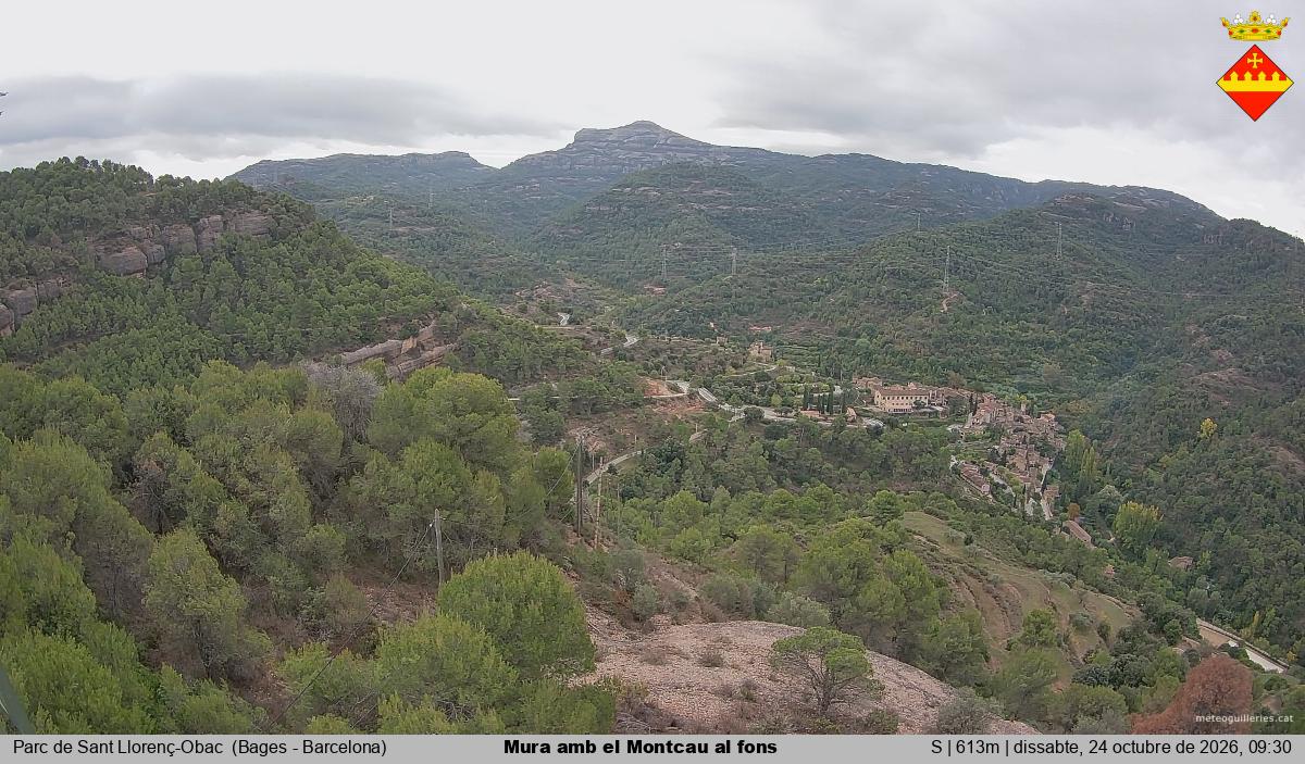 Mura amb el Montcau al fons