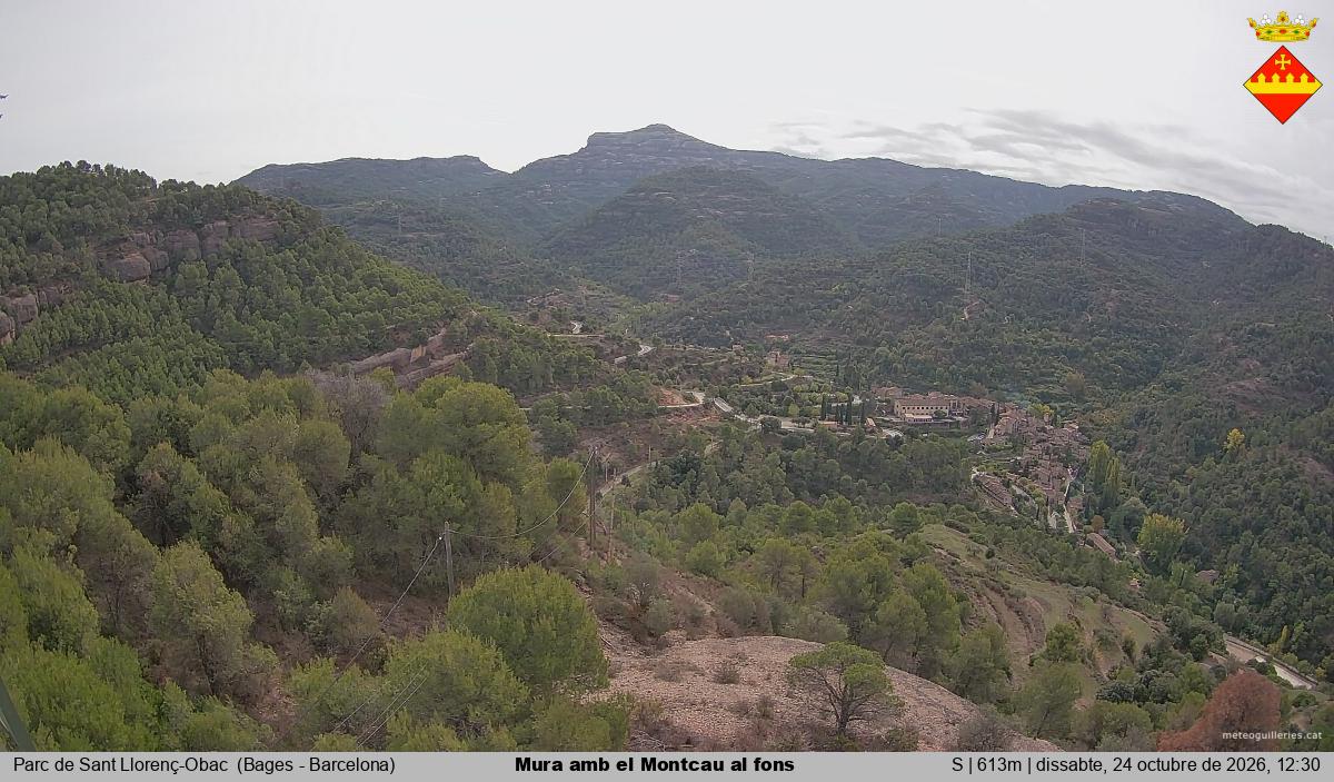 Mura amb el Montcau al fons