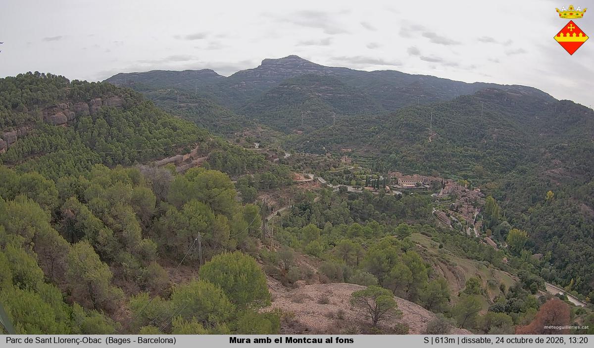 Mura amb el Montcau al fons