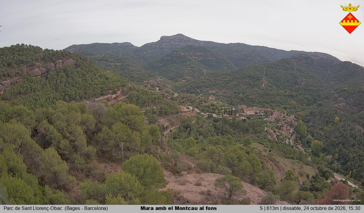 Mura amb el Montcau al fons