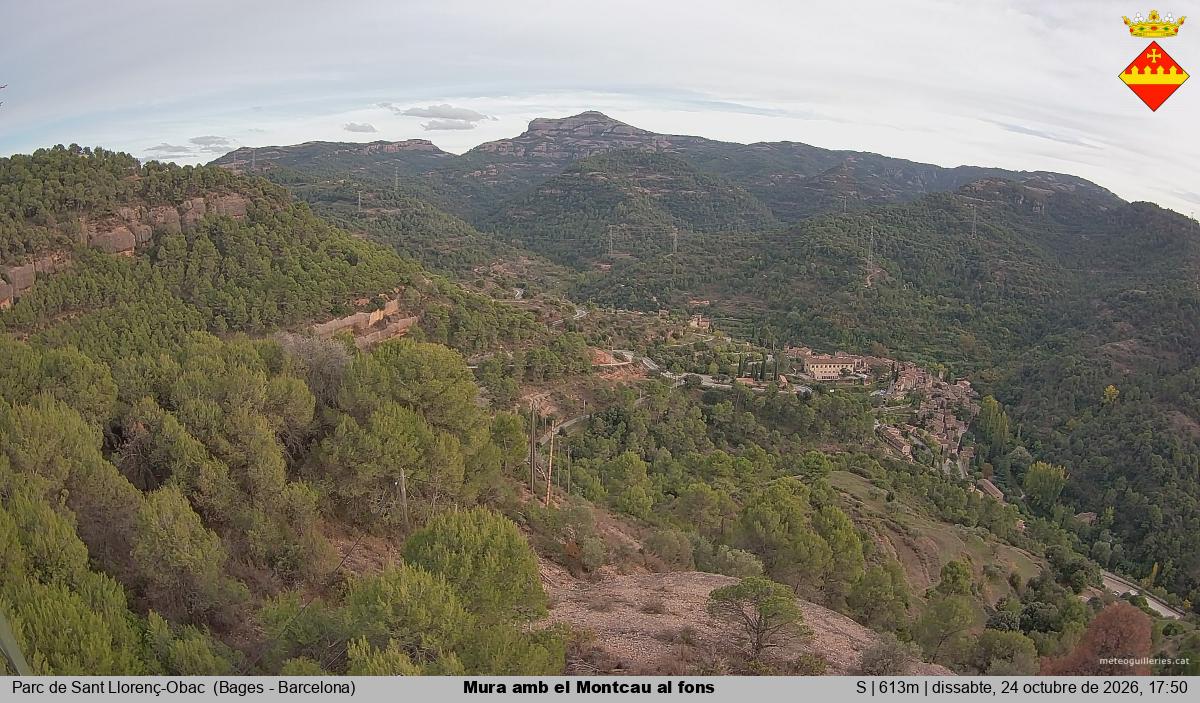 Mura amb el Montcau al fons