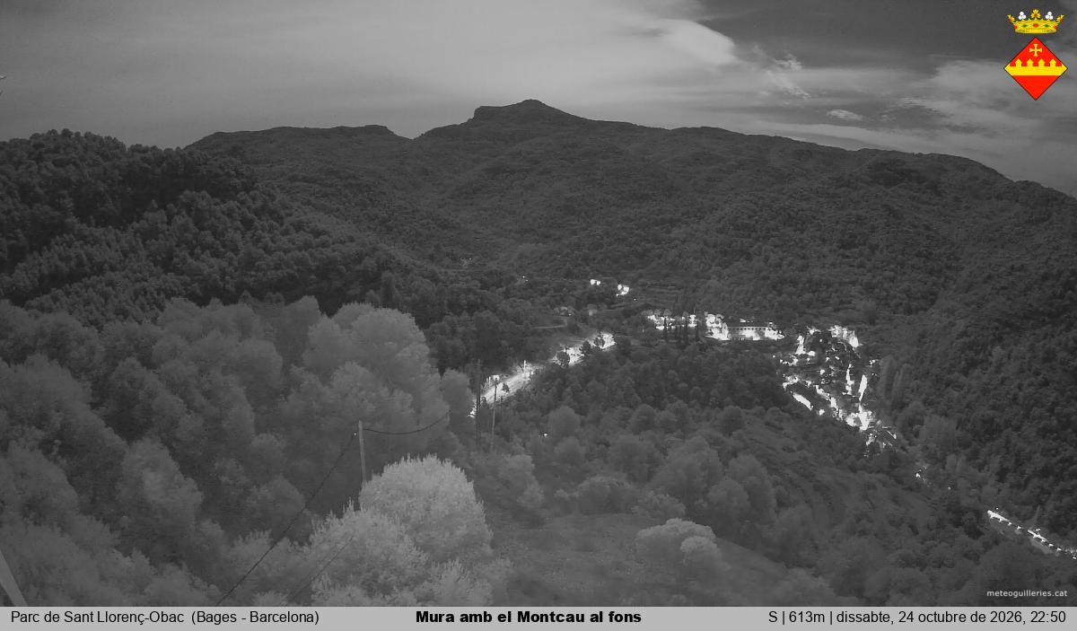 Mura amb el Montcau al fons