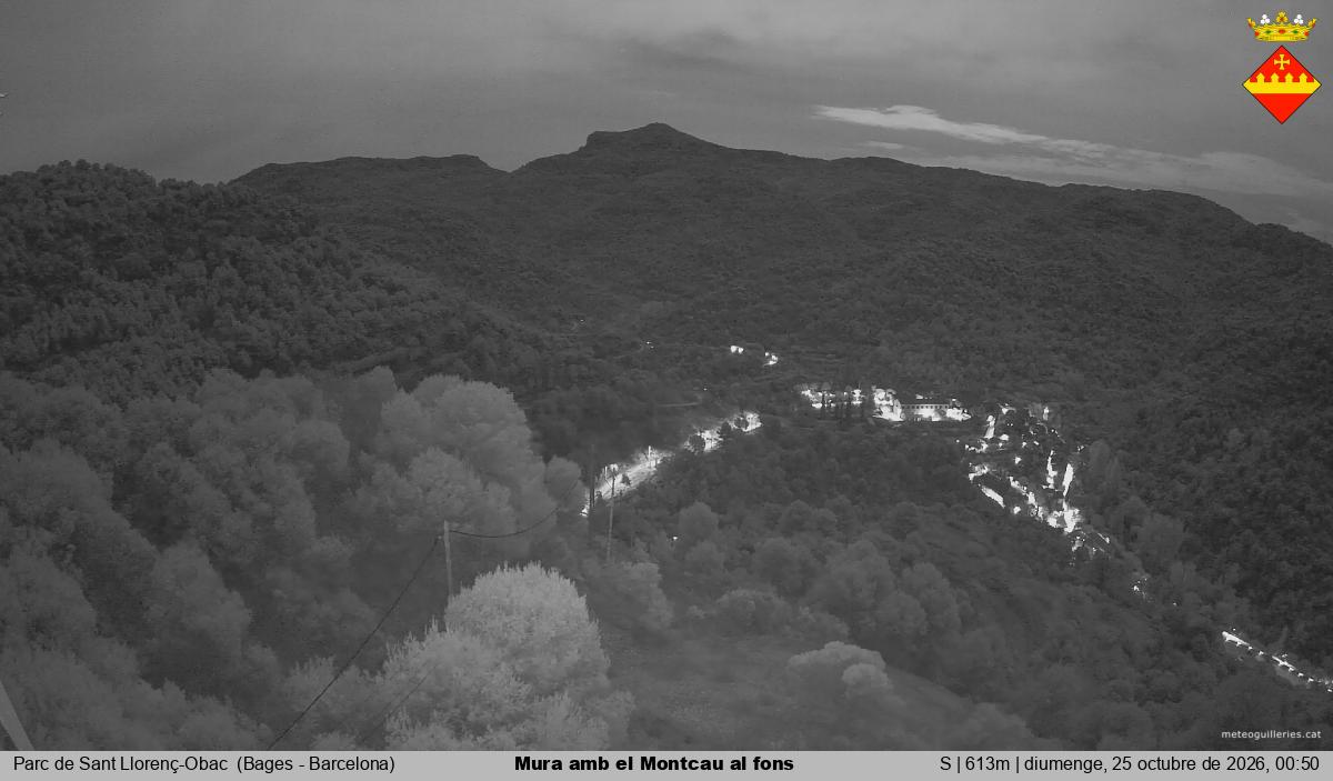Mura amb el Montcau al fons