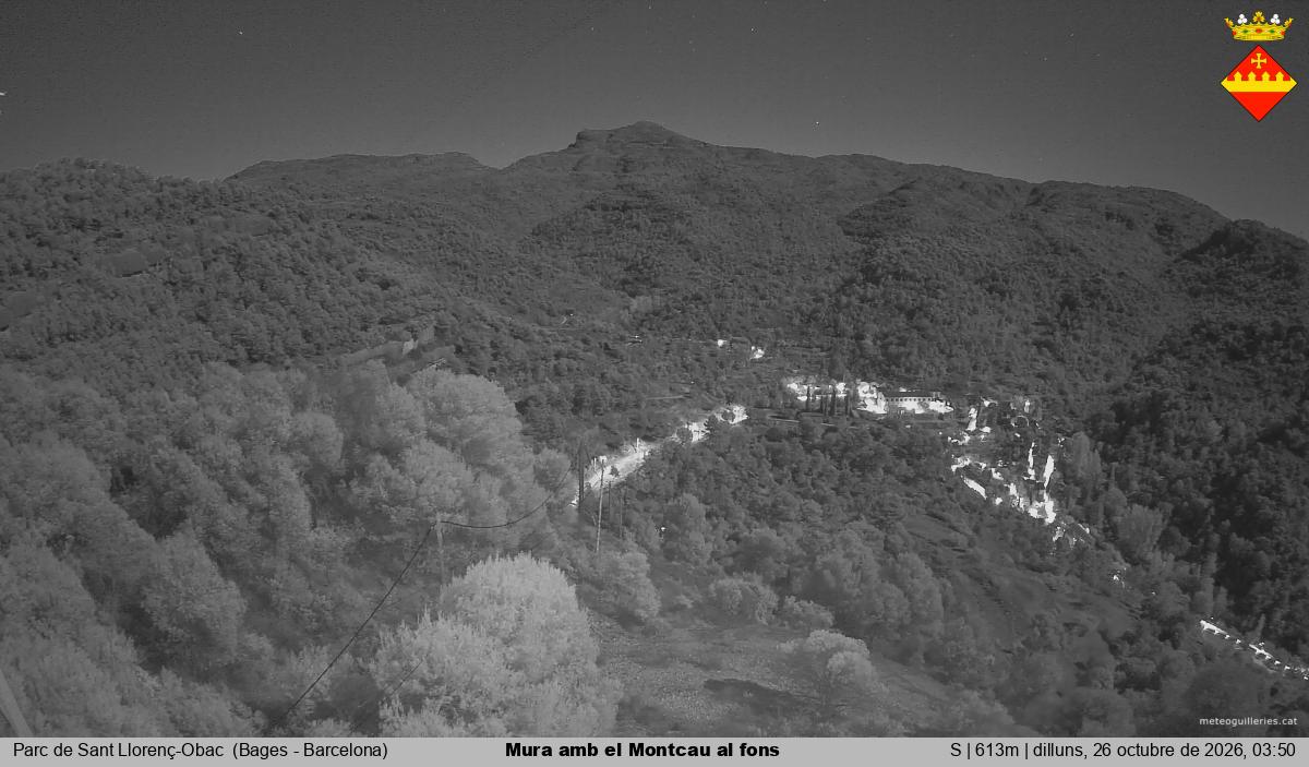 Mura amb el Montcau al fons