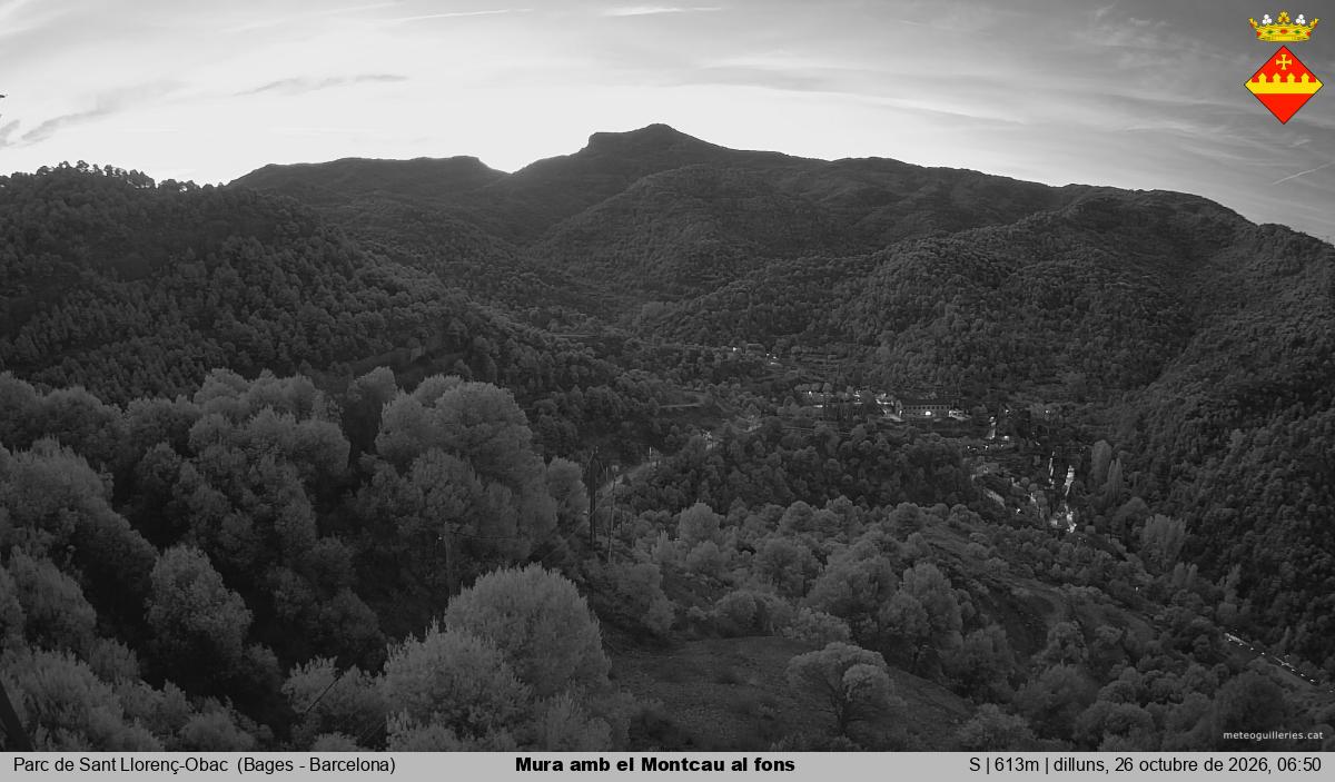 Mura amb el Montcau al fons
