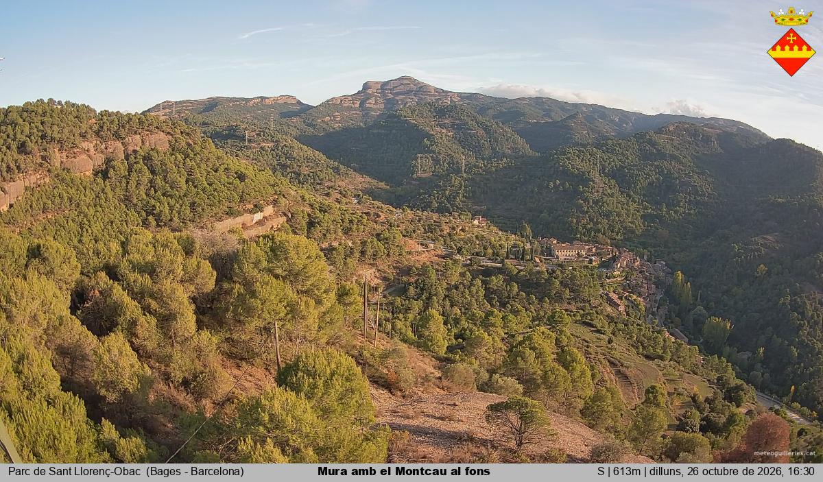 Mura amb el Montcau al fons