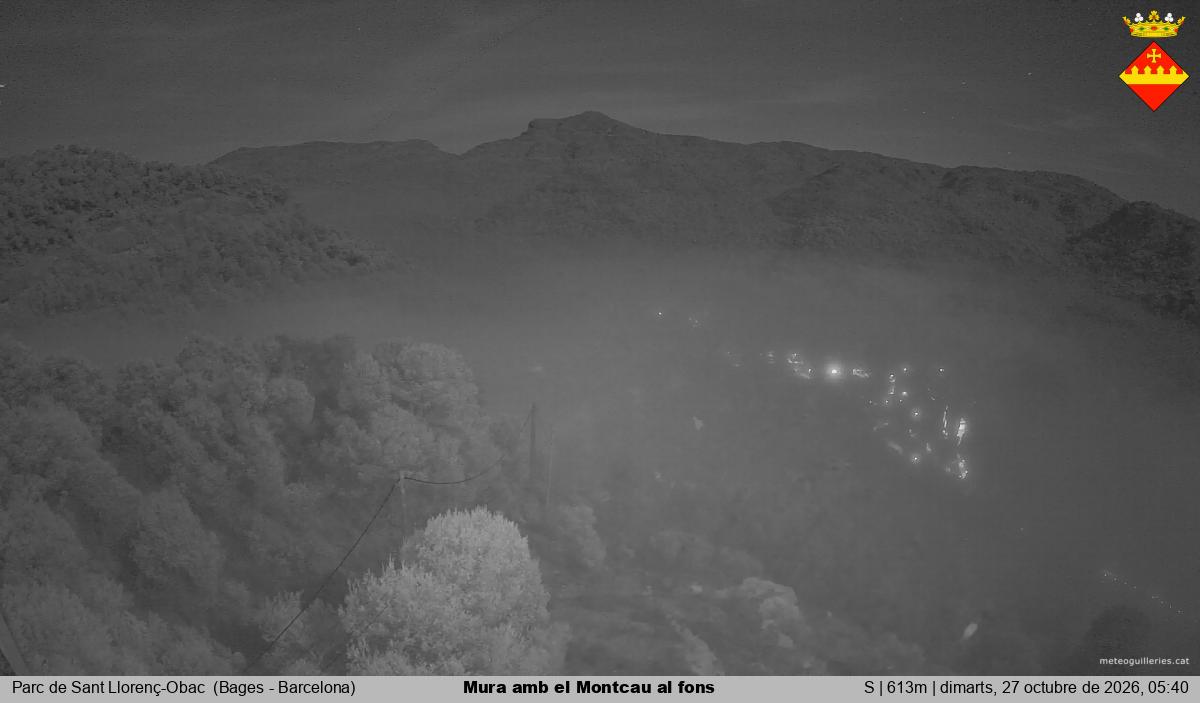 Mura amb el Montcau al fons