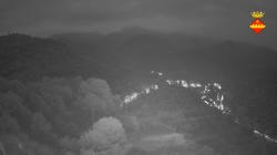 Webcams